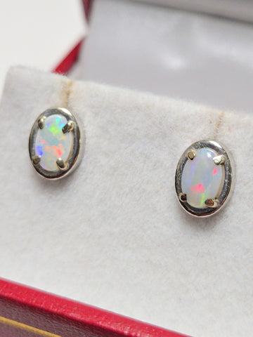 14K white gold stud earrings with oval opal gemstones, featuring elegant jewelry design by Chique Jewelry.